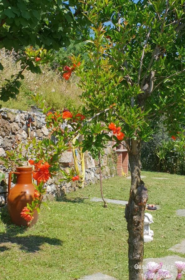 Villa Ca' Olivella Casarza Ligure Exterior foto